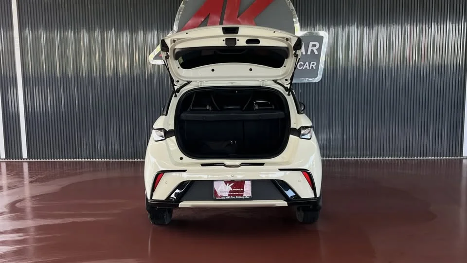 2022 BYD Dolphin 2