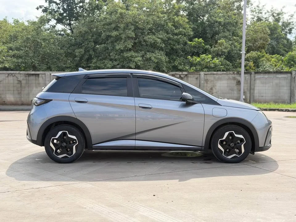 2023 BYD Dolphin 3
