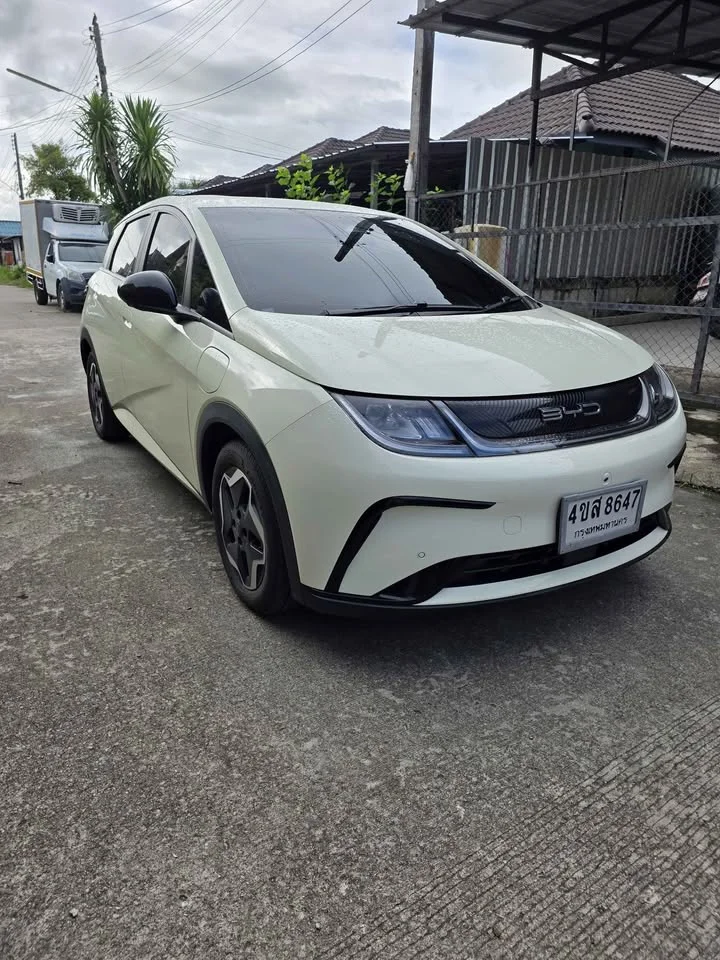 2023 BYD Dolphin 2