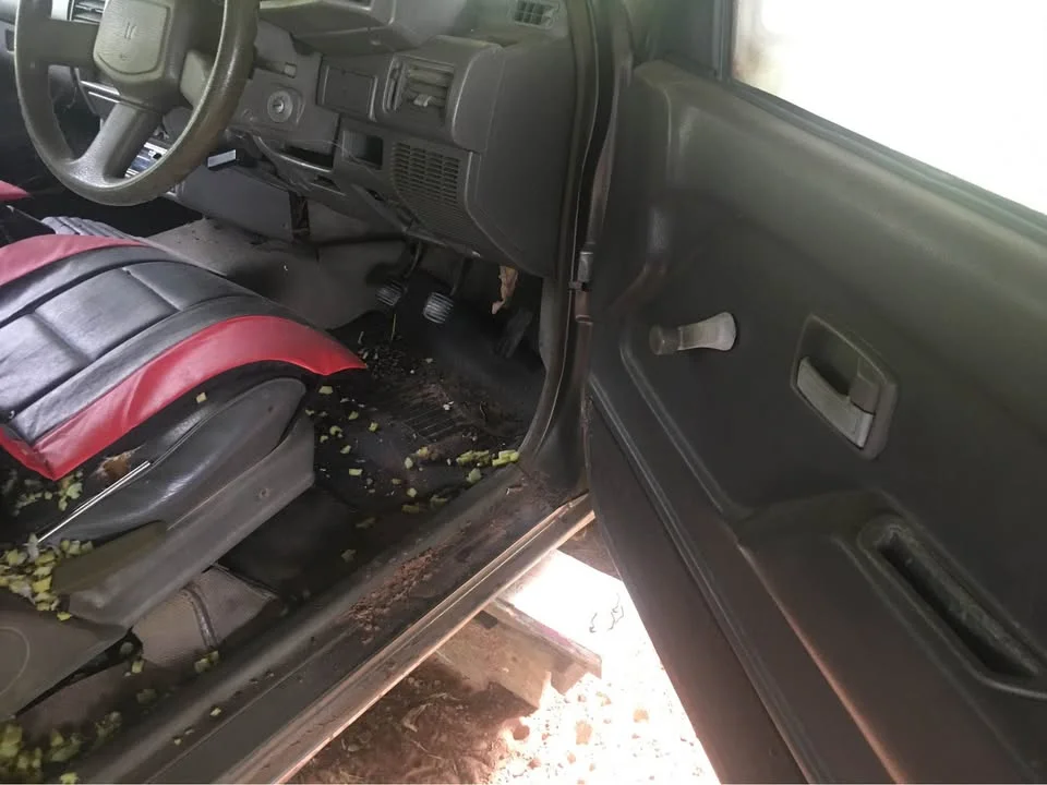 1990 Isuzu TFR III 2