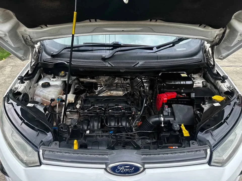 2014 Ford EcoSport II 2