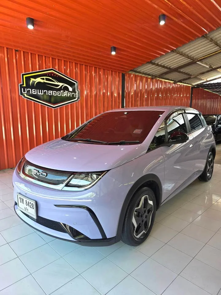 2023 BYD Dolphin 3