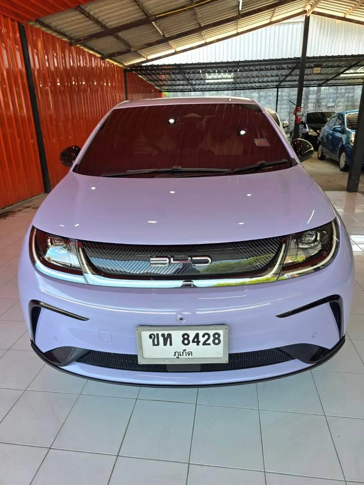2023 BYD Dolphin 2