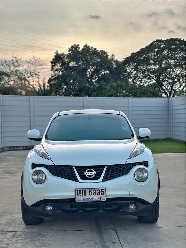2011 Nissan Juke I (F15) 2
