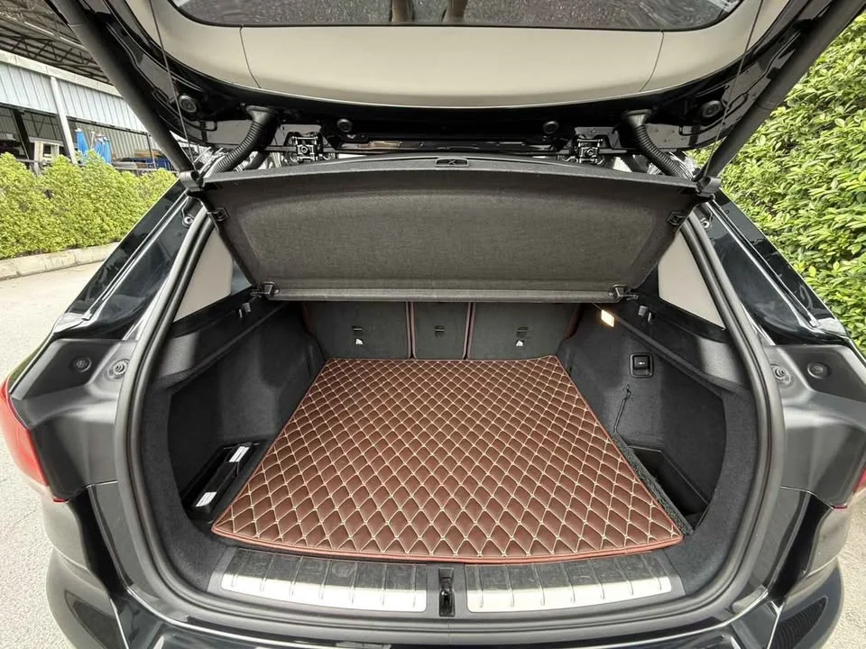 2021 BMW X1 F48, F49 2