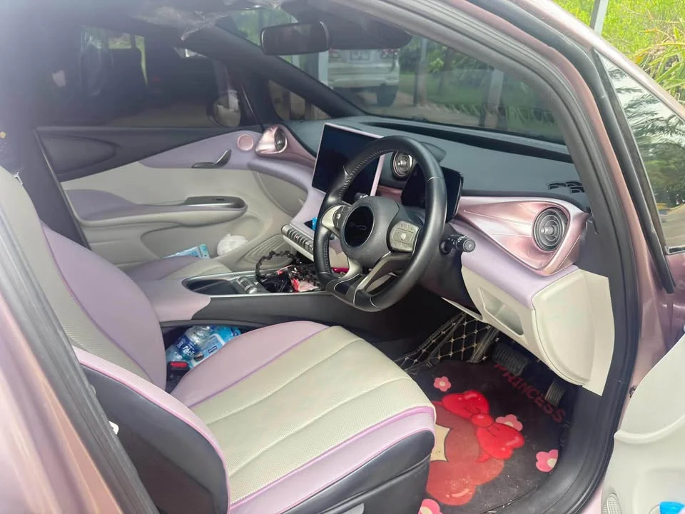 2023 BYD Dolphin 2