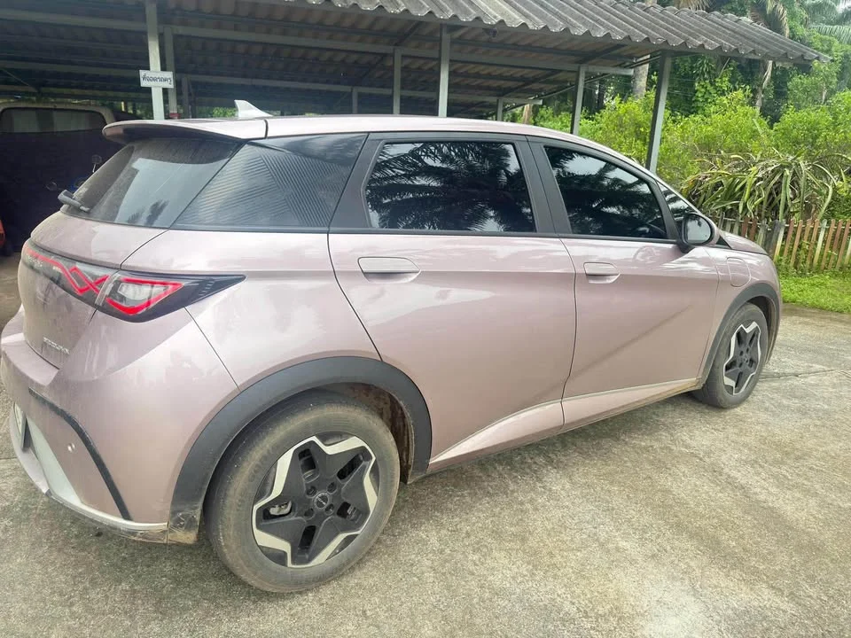 2023 BYD Dolphin 3