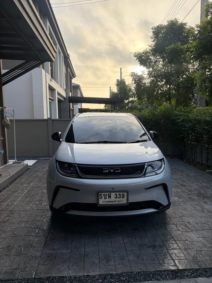 2024 BYD Dolphin 3