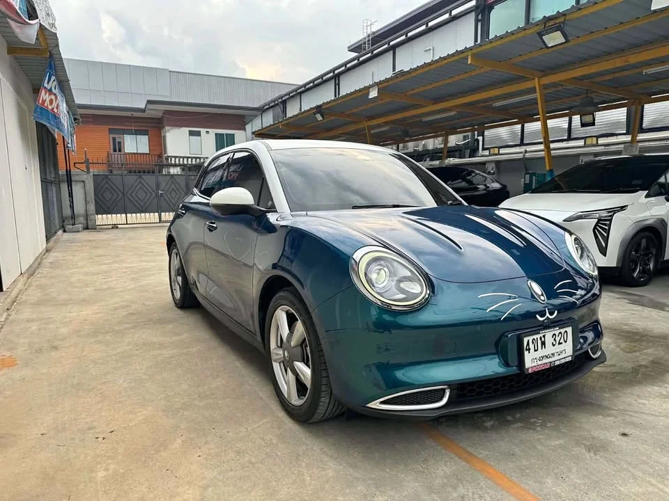 2022 GWM Ora Good Cat 2