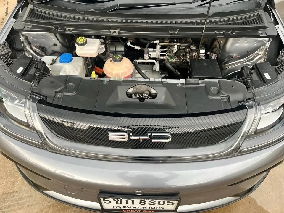 2024 BYD Dolphin 2