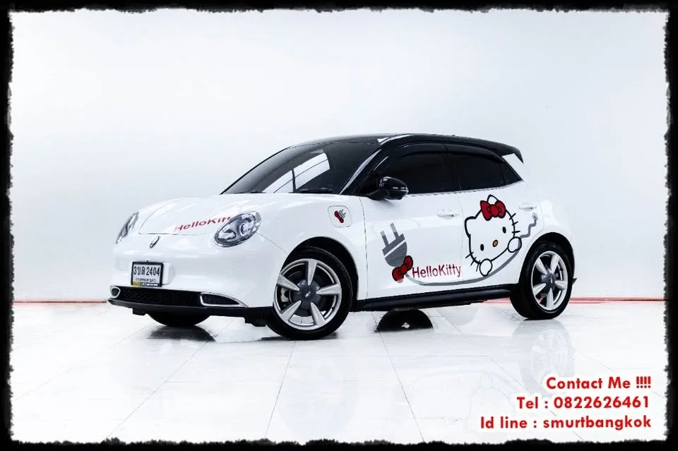 2022 GWM Ora Good Cat 2