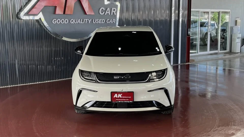 2023 BYD Dolphin 2