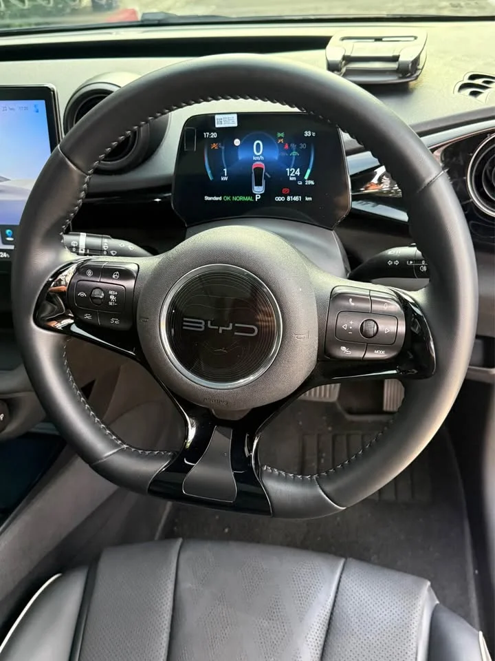 2022 BYD Dolphin 3