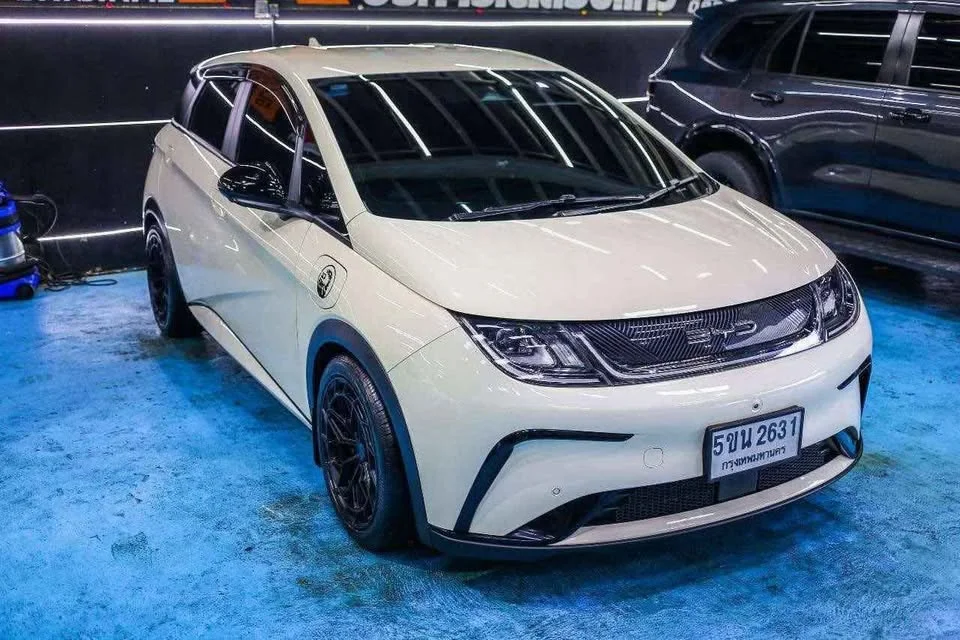 2024 BYD Dolphin 3