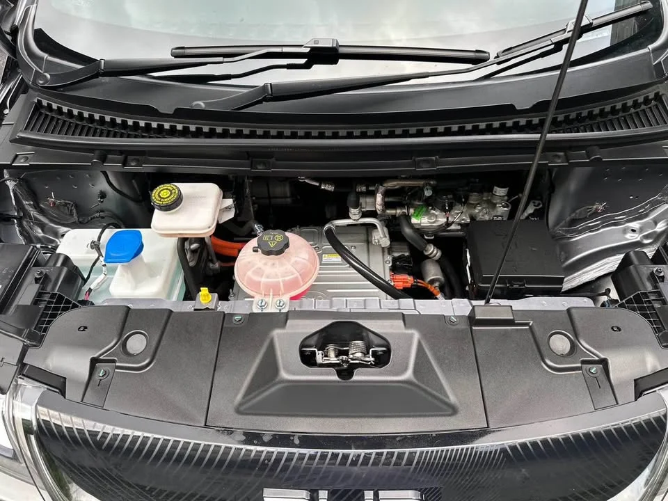 2025 BYD Dolphin 2