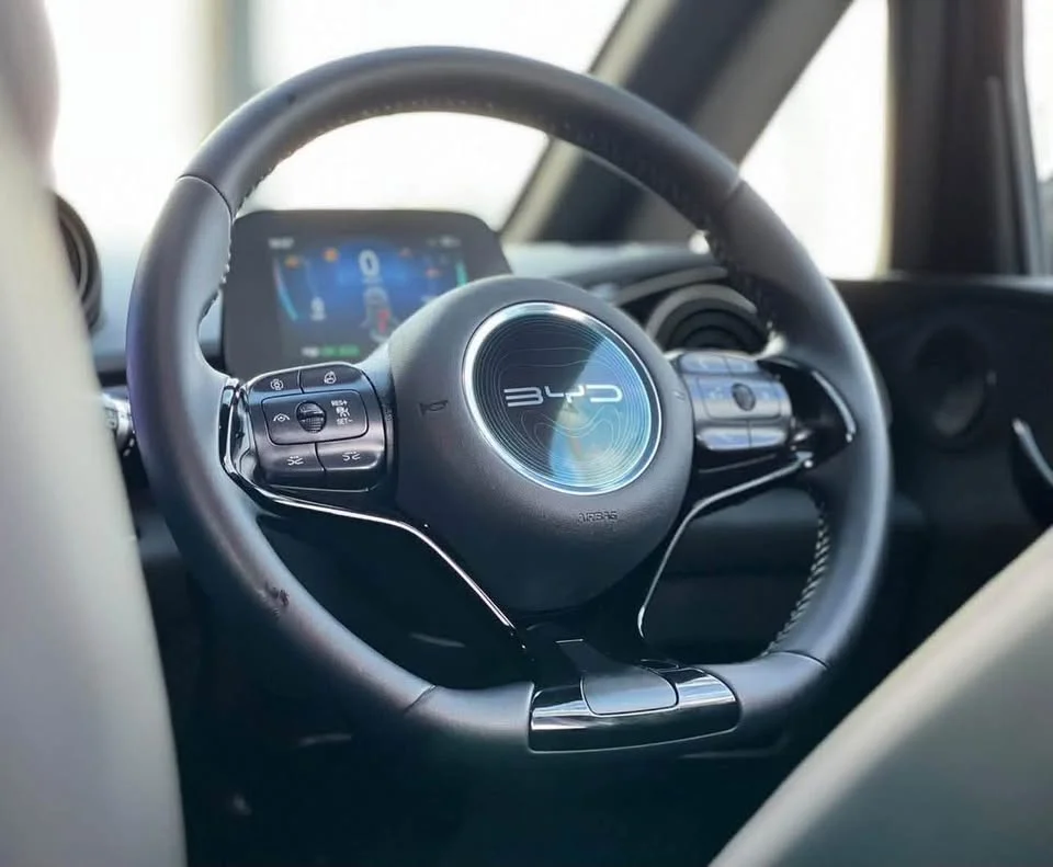 2024 BYD Dolphin 3