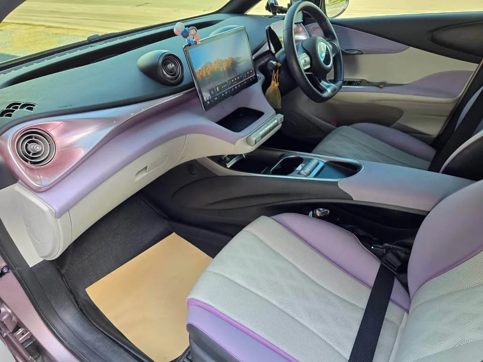 2023 BYD Dolphin 2