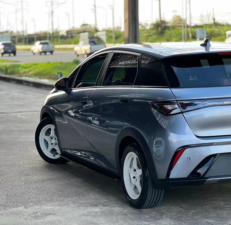 2024 BYD Dolphin 2