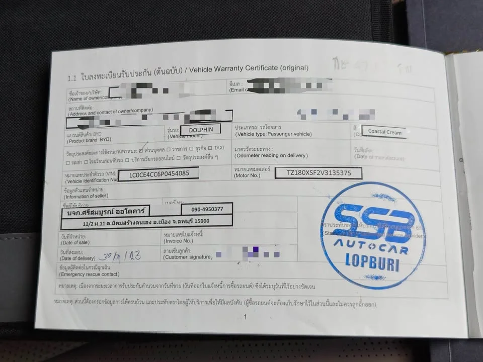 2023 BYD Dolphin 3