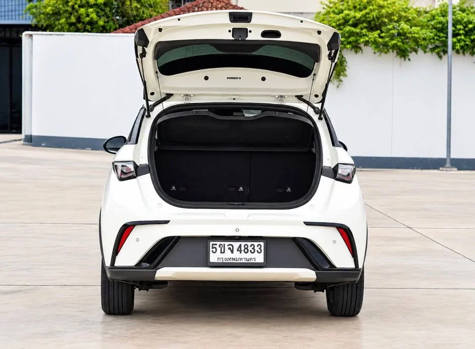 2024 BYD Dolphin 2