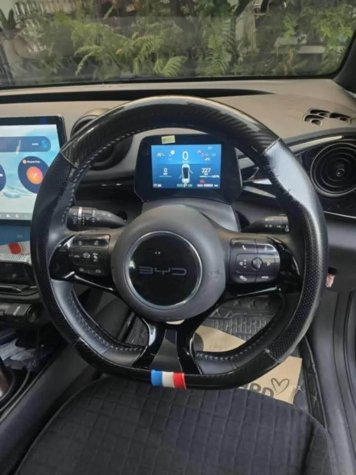 2023 BYD Dolphin 3